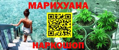 ALPHA PVP Гай