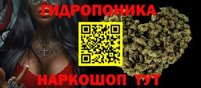 ALPHA PVP Гай