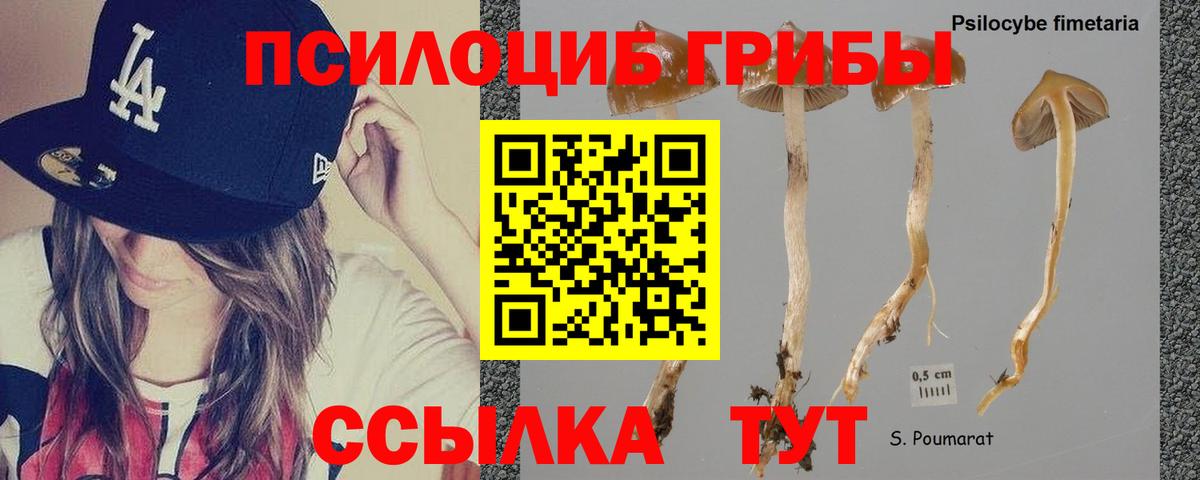 Галлюциногенные грибы ЛСД  Вход с VPN  Кулебаки 